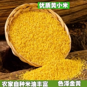陕北小米陕西米脂黄小米新米粘糯小米杂粮五谷油小米粥小黄米