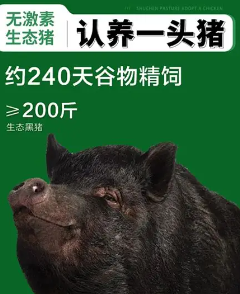 20250710110009923.png